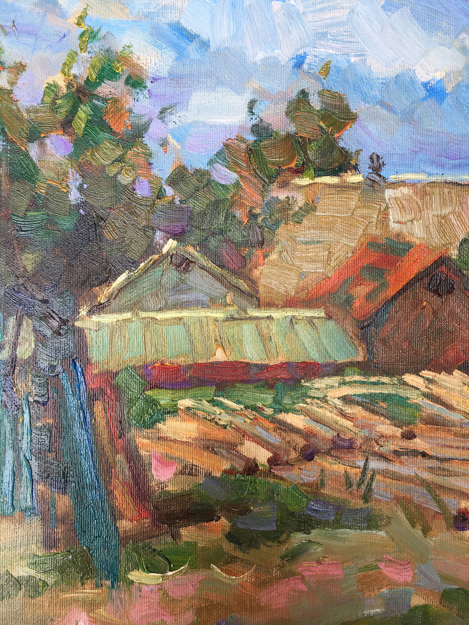 Oil painting Village yard Sergey Ivanovich Animov - 5