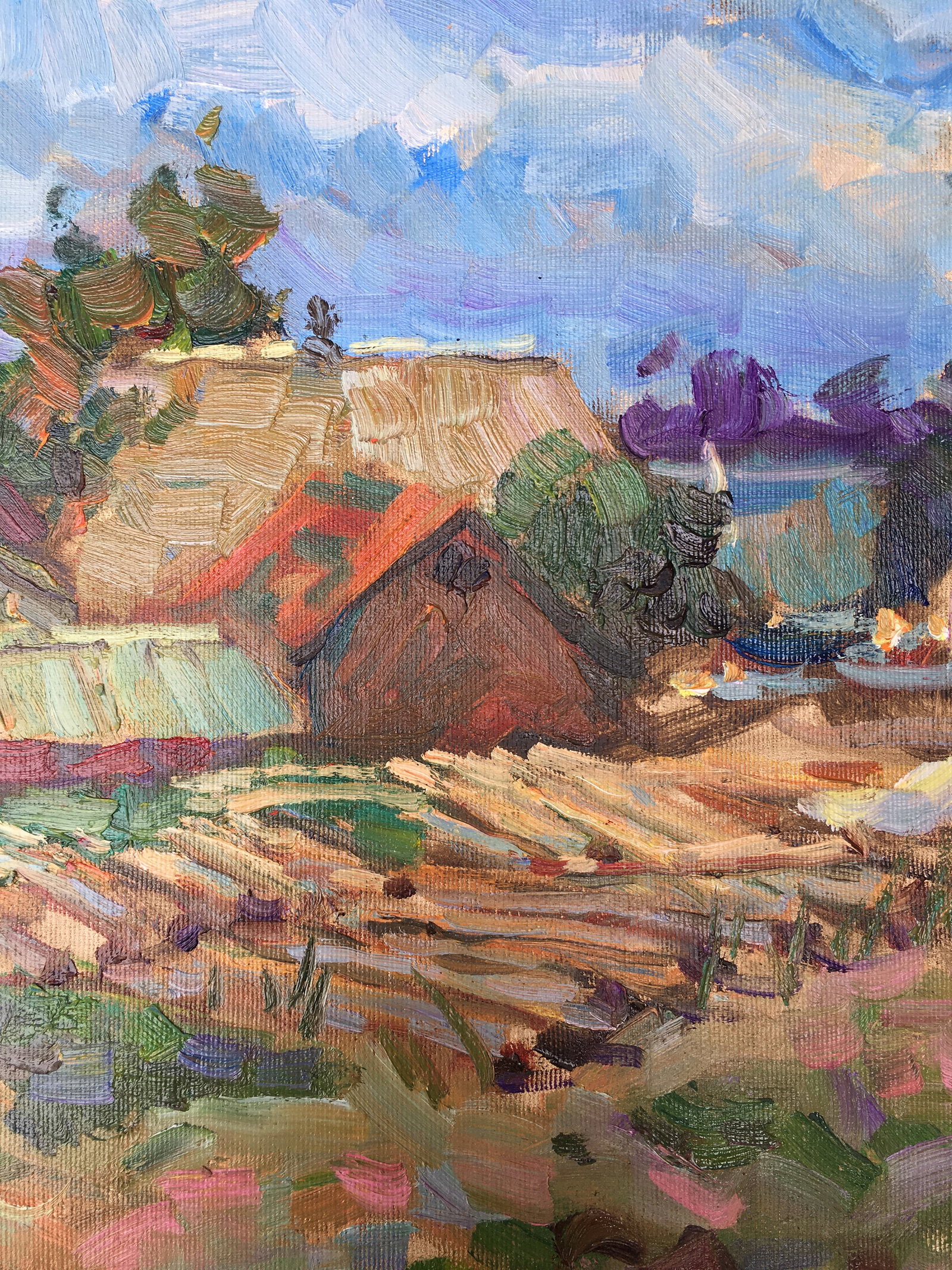 Oil painting Village yard Sergey Ivanovich Animov - 7