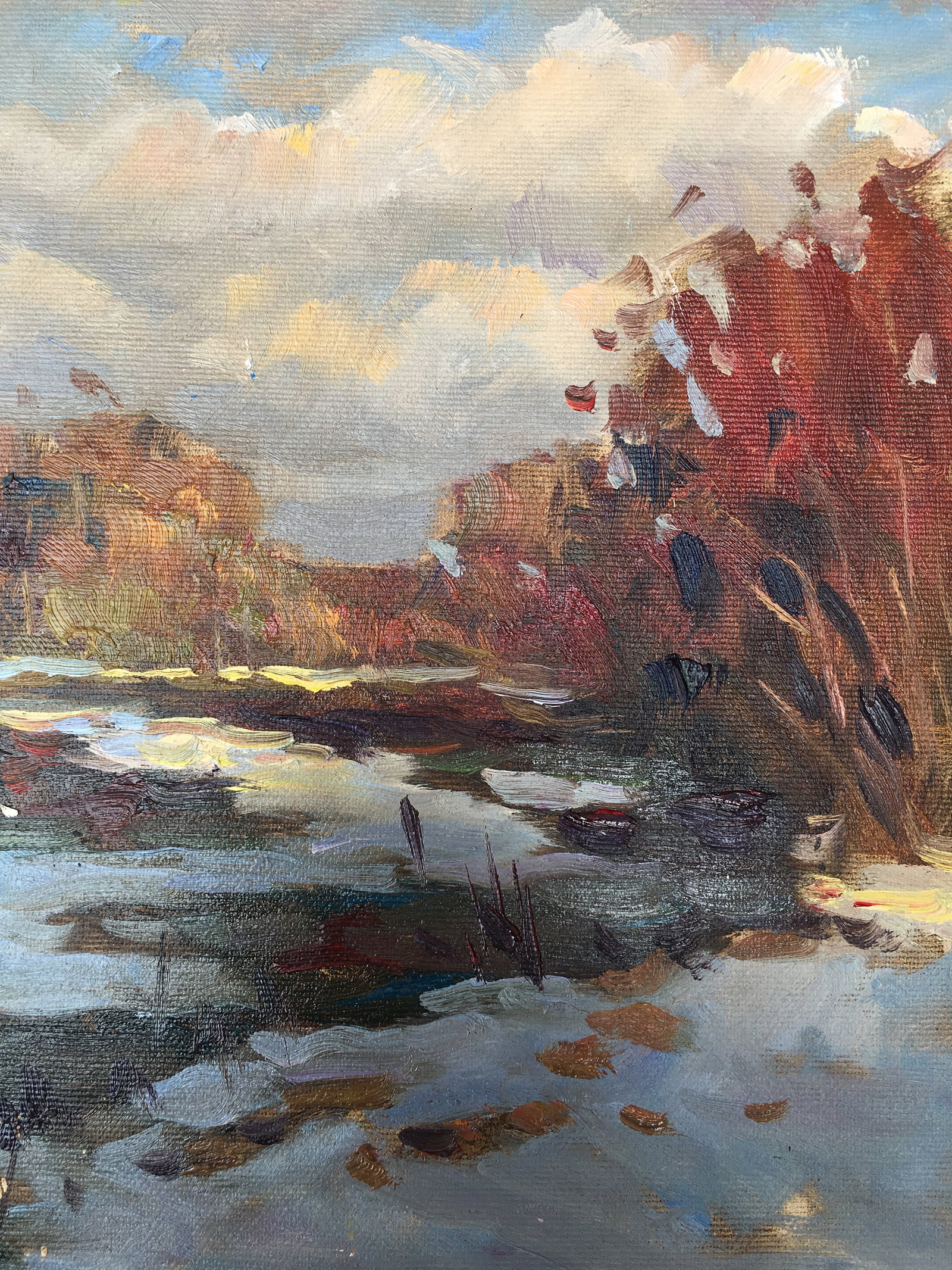 Oil painting Early spring Sergey Ivanovich Animov - 10