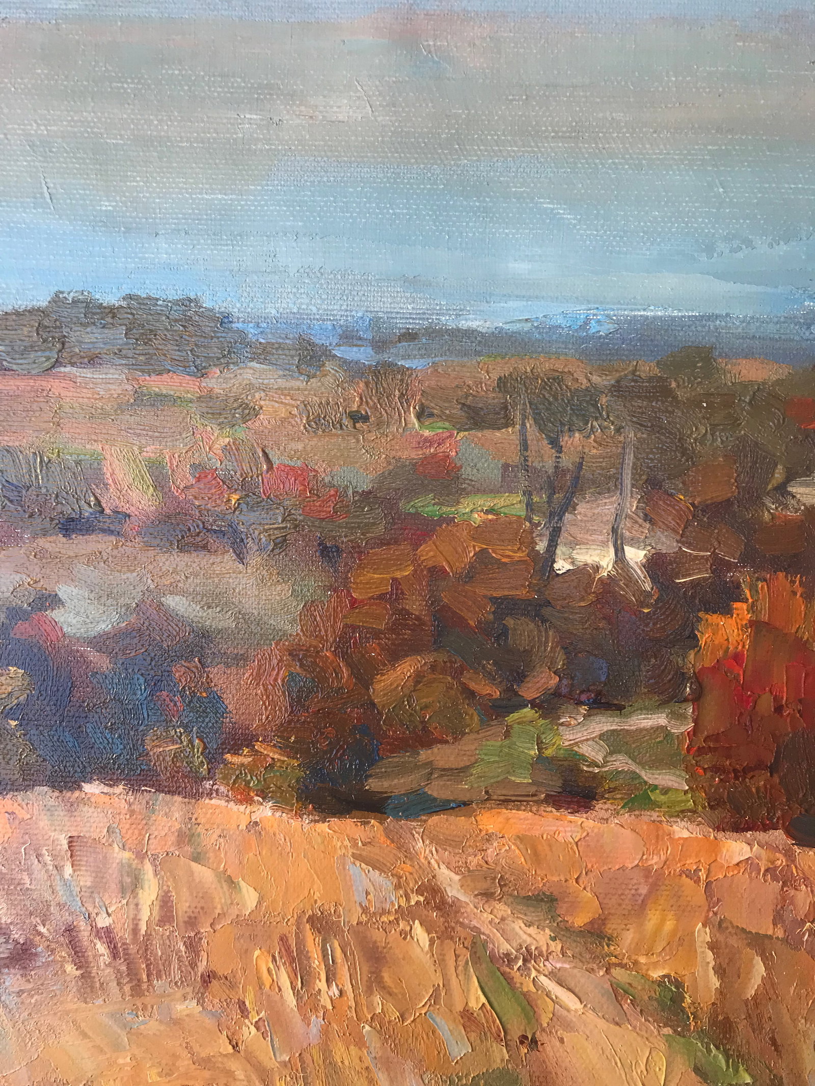 Oil painting Autumn meadows Sergey Ivanovich Animov - 3