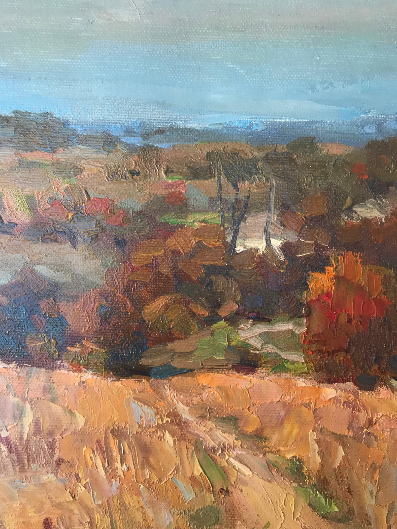 Oil painting Autumn meadows Sergey Ivanovich Animov - 4