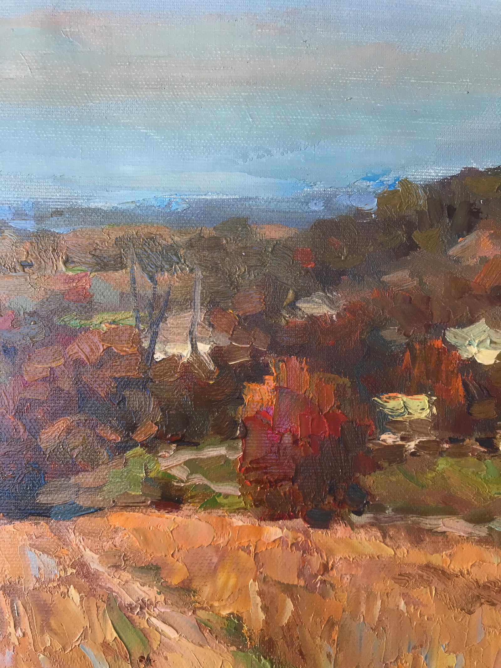 Oil painting Autumn meadows Sergey Ivanovich Animov - 5