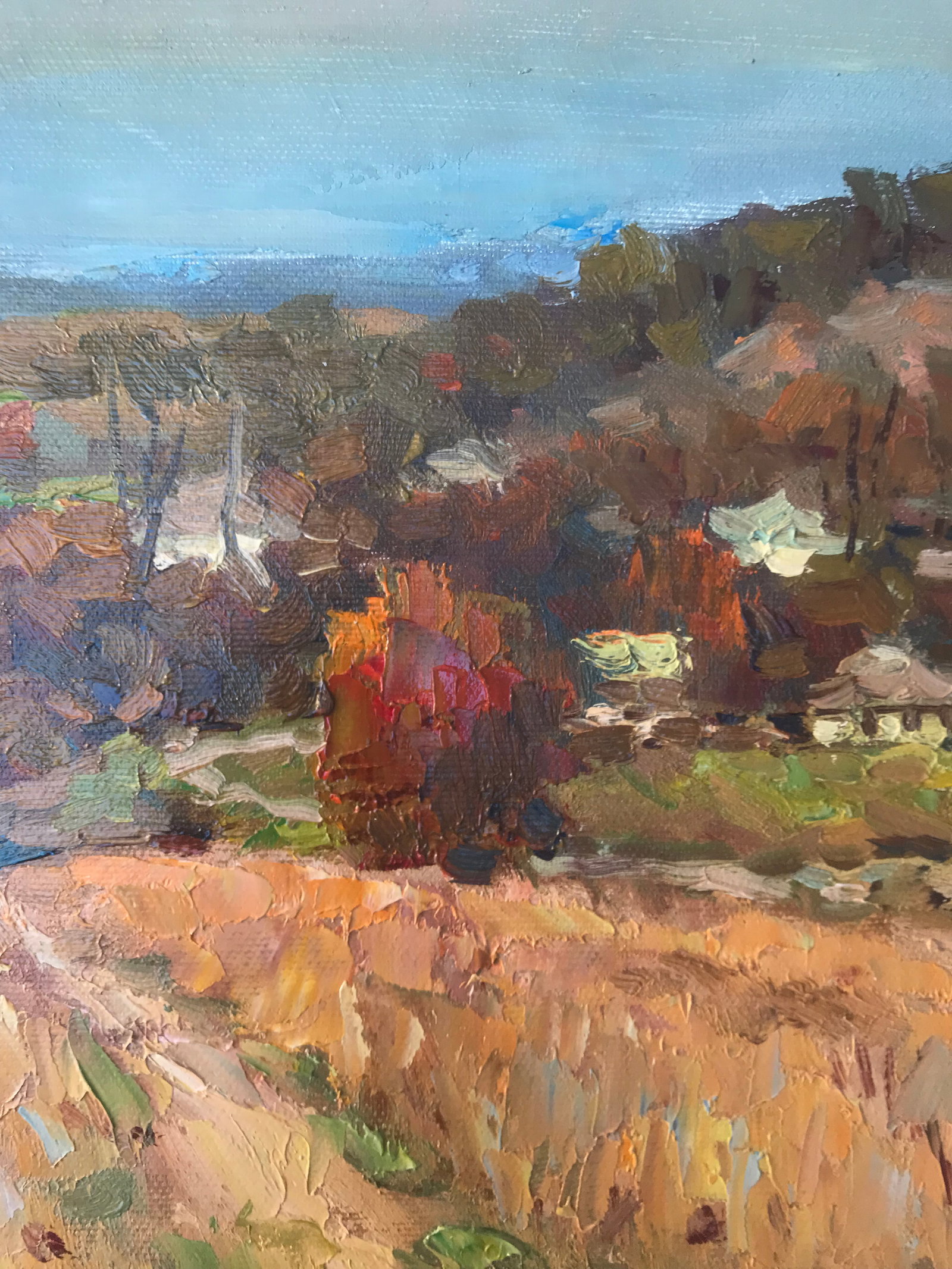 Oil painting Autumn meadows Sergey Ivanovich Animov - 6