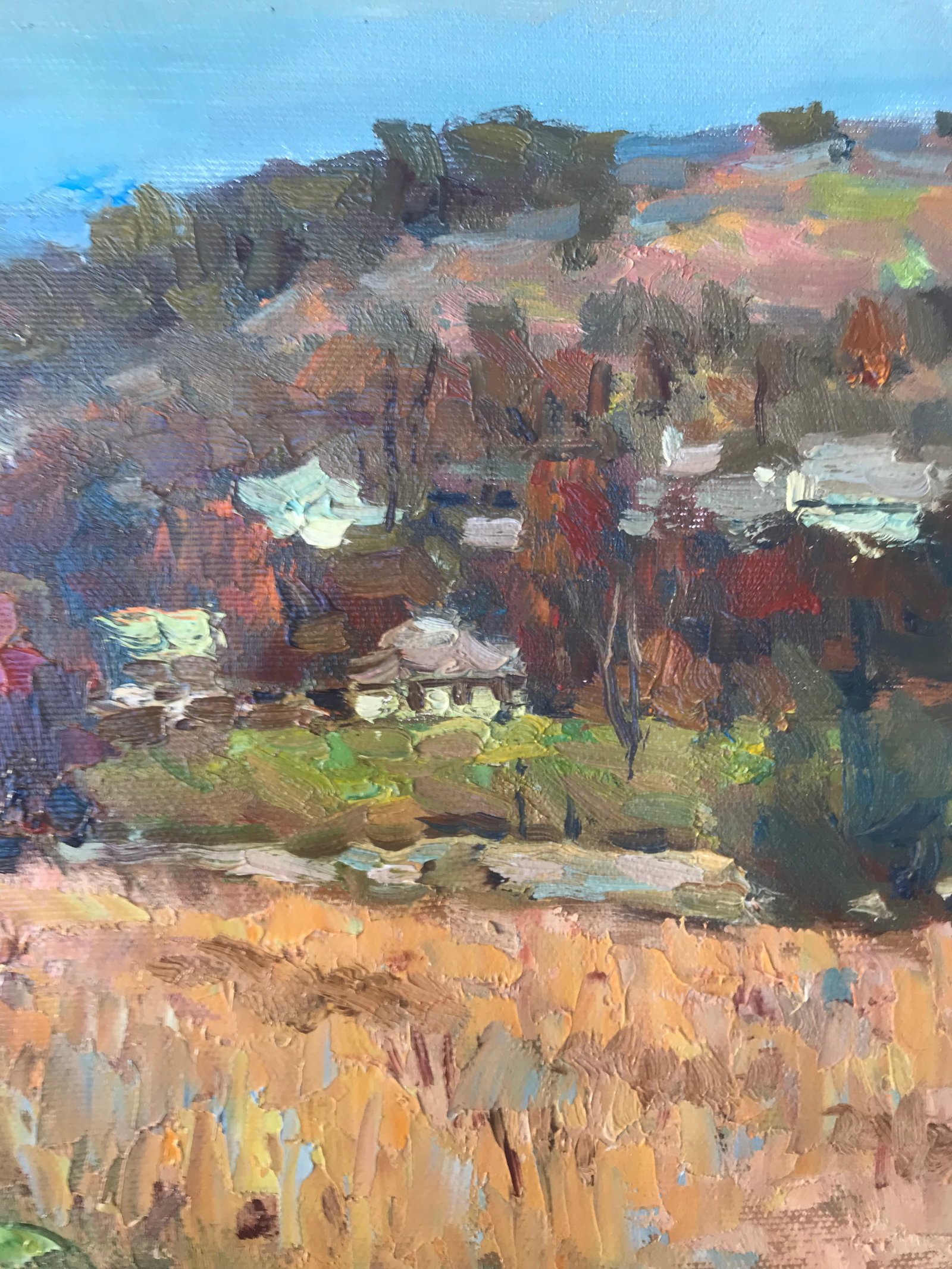 Oil painting Autumn meadows Sergey Ivanovich Animov - 9