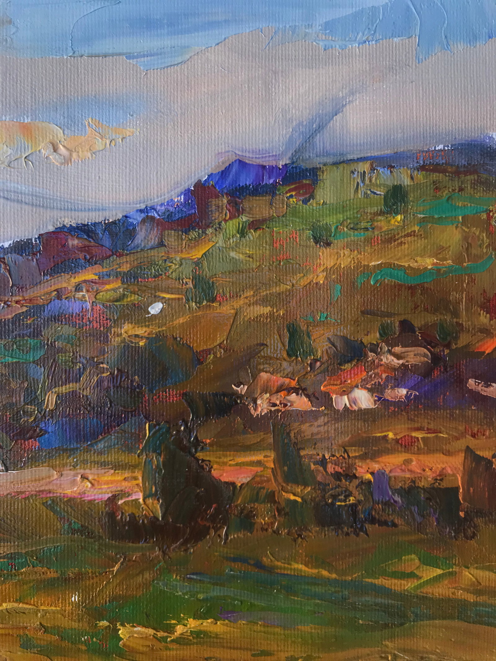 Oil painting Warm day Sergey Ivanovich Animov - 8