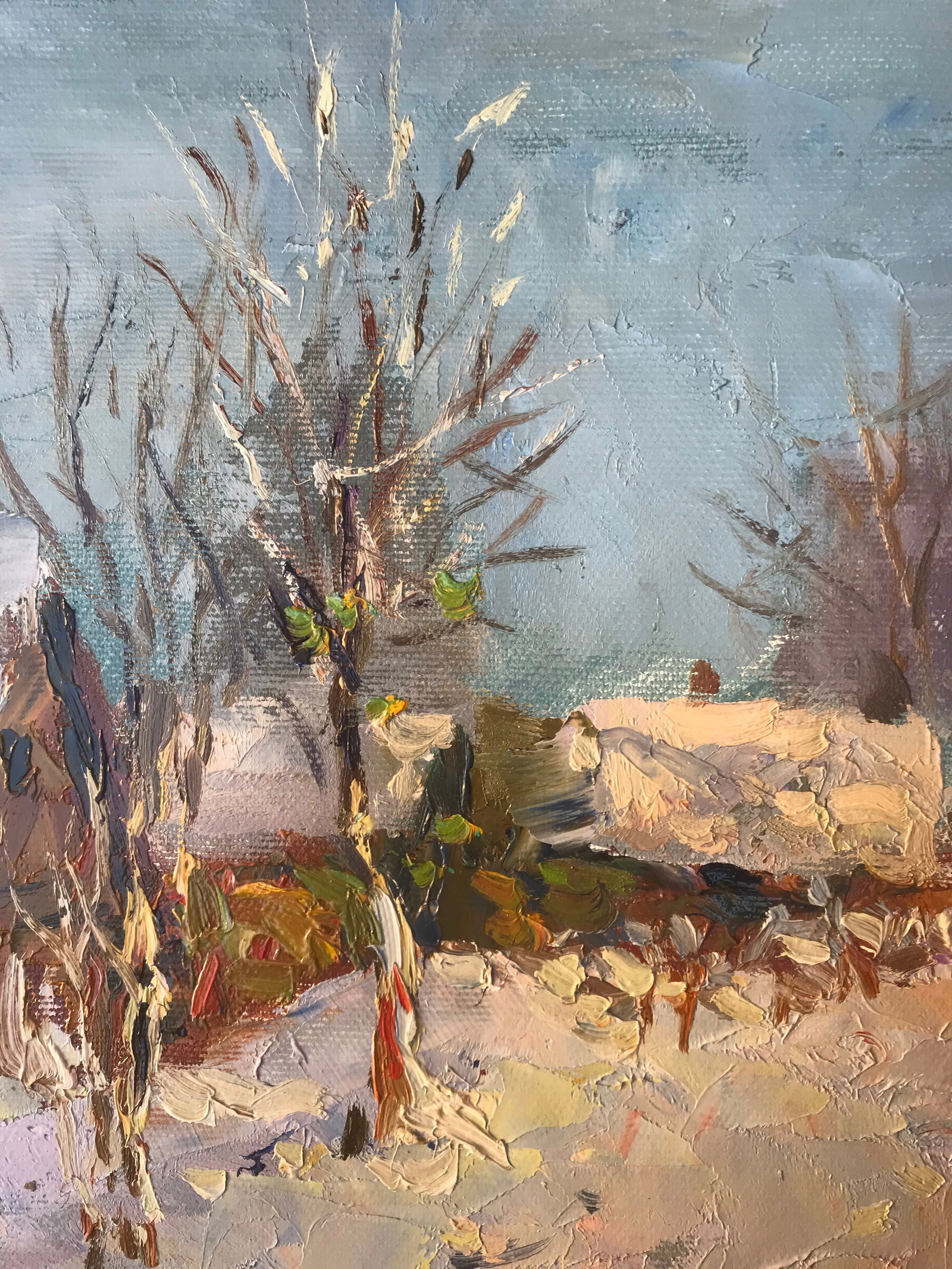 Oil painting Winter has come Sergey Ivanovich Animov - 3