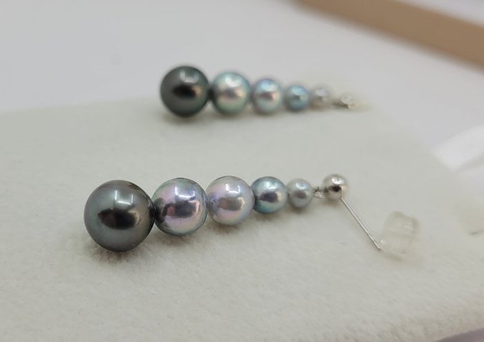 Earrings - 18 kt. White gold - 4x9mm Akoya Pearls - 7