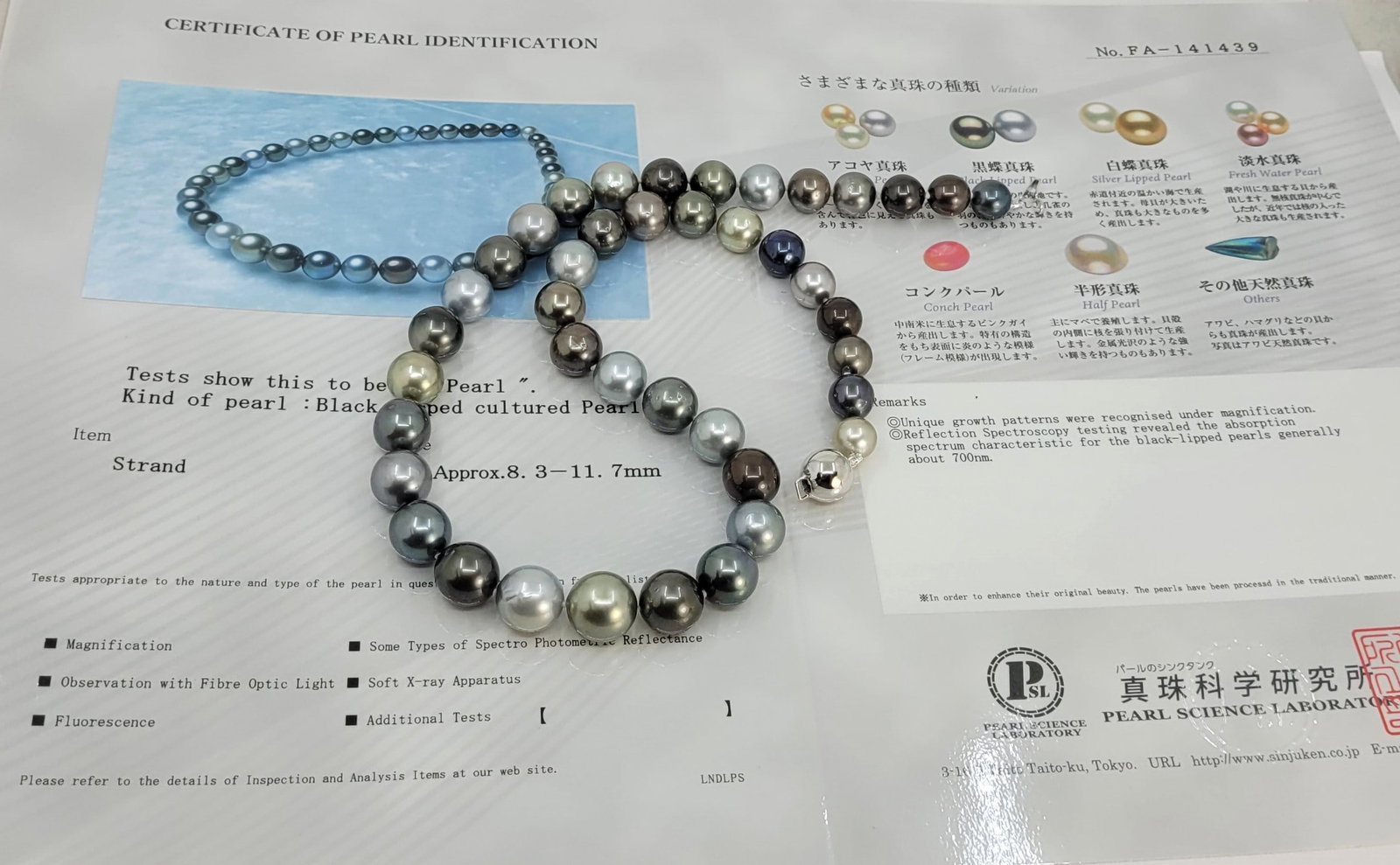 Necklace PSL Certified Tahitian Pearls - 8.3x11.7mm - 10