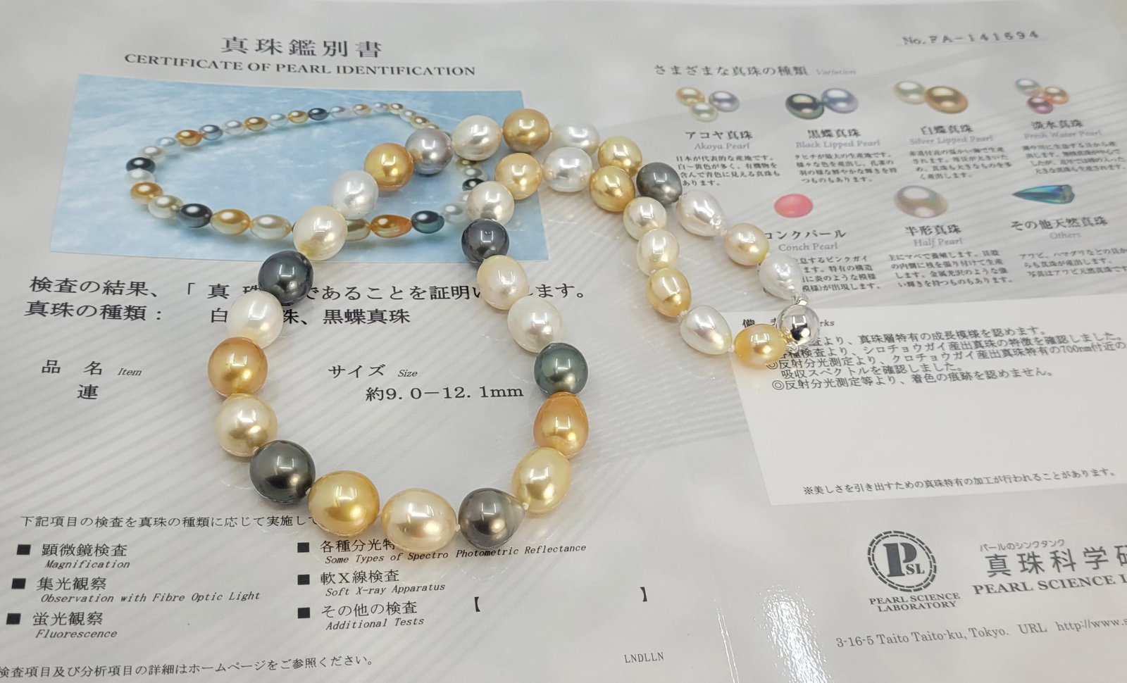 Necklace PSL Certified South Sea and Tahiti pearls - 9.0x12.1mm - 11