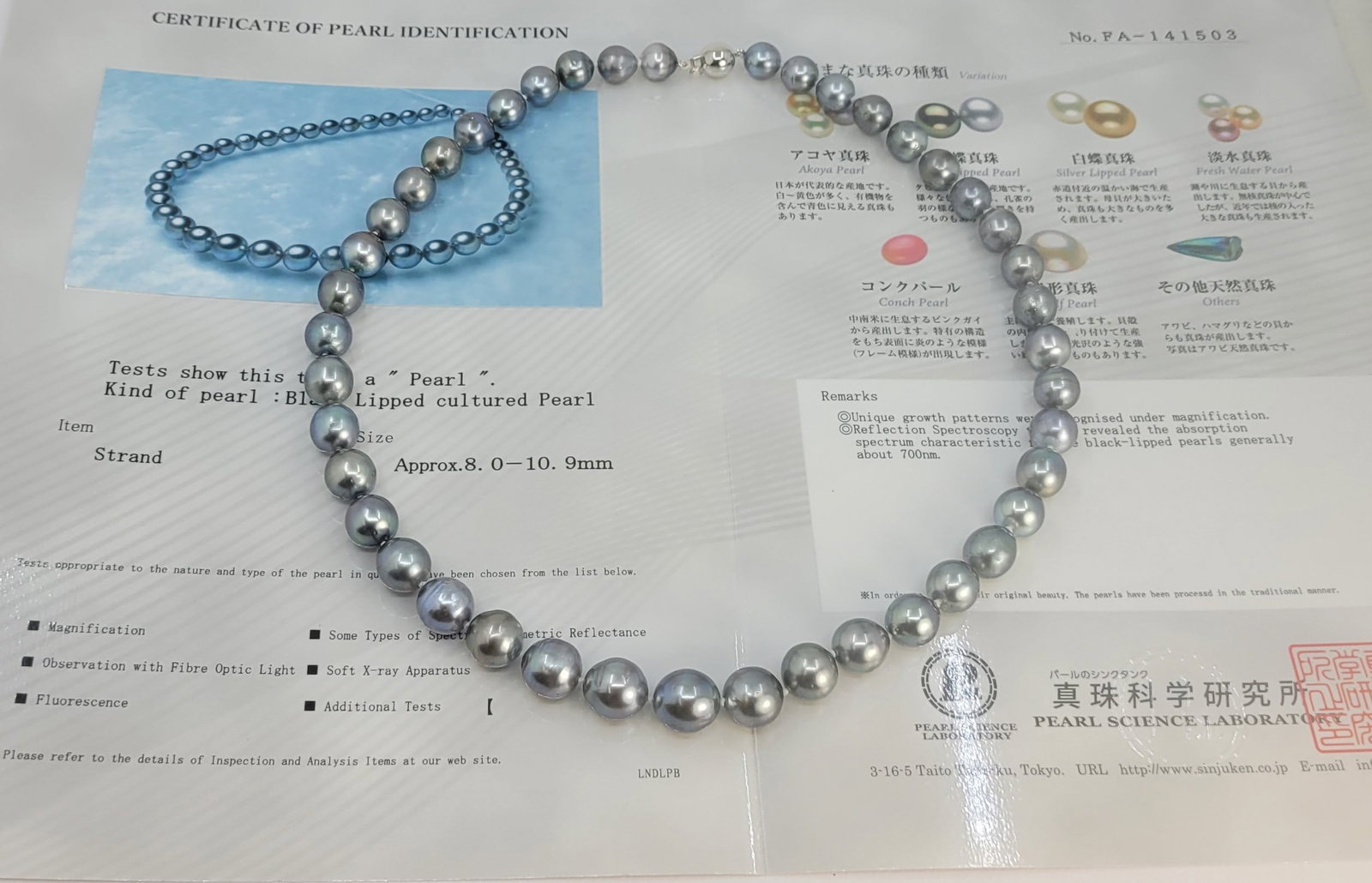 Necklace PSL Certified Tahitian Pearls - 8.0x10.9mm - 7
