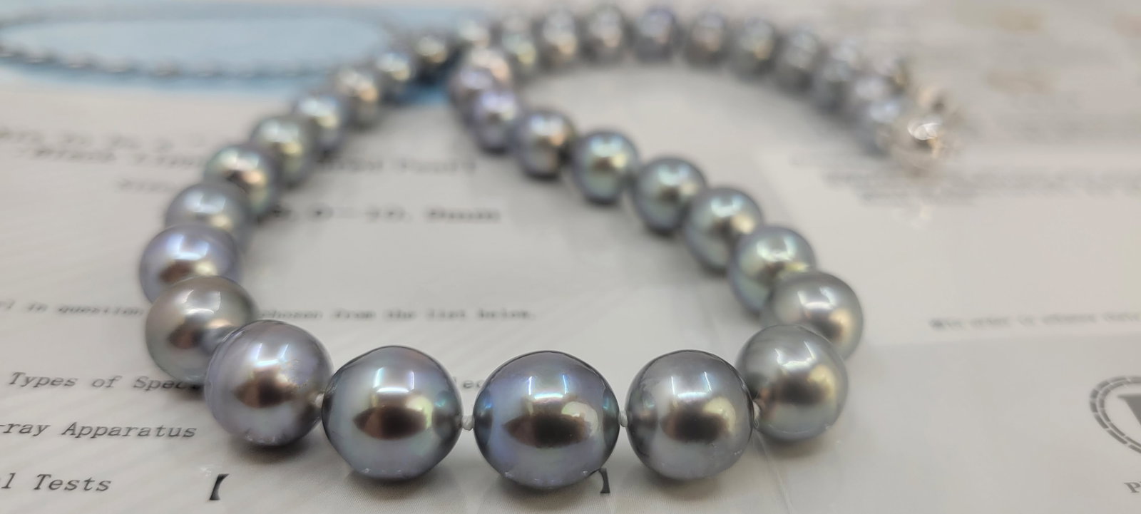 Necklace PSL Certified Tahitian Pearls - 8.0x10.9mm - 9