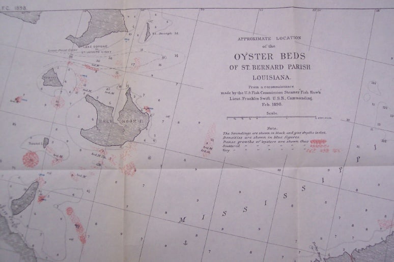 Report On the Oyster-Beds of Louisiana - 2