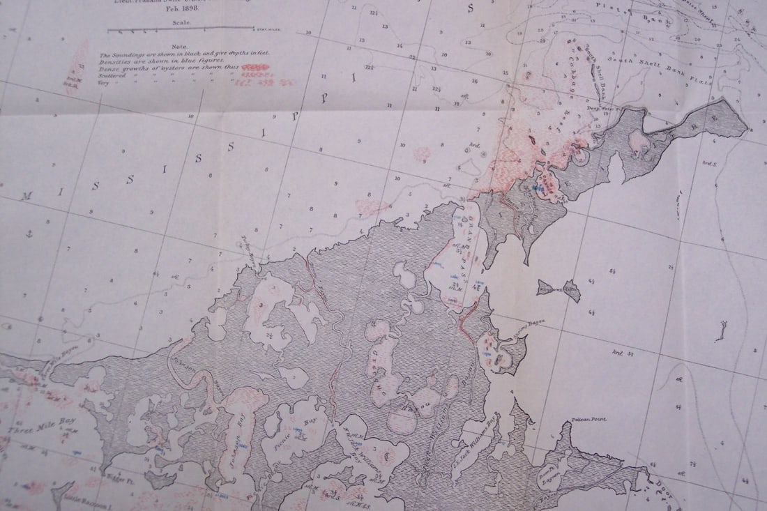 Report On the Oyster-Beds of Louisiana - 3