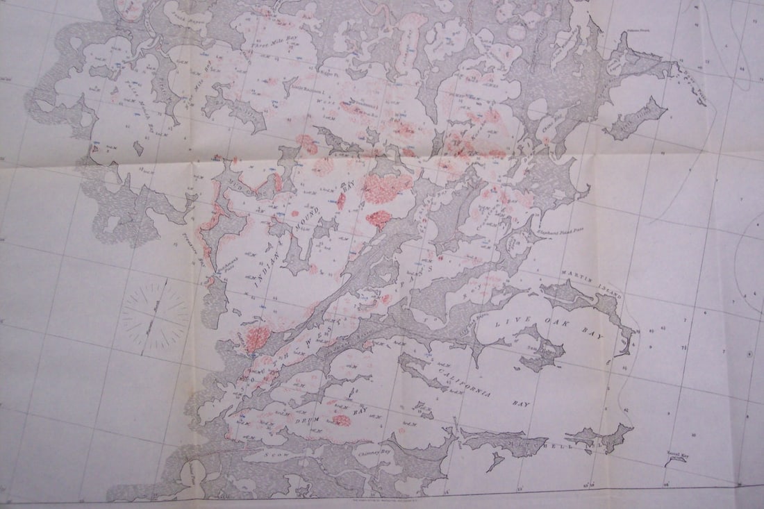 Report On the Oyster-Beds of Louisiana - 4