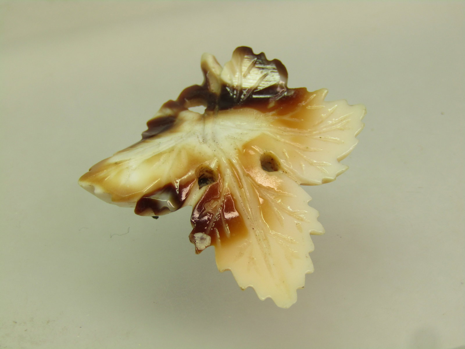 Vintage Brown/White Carved Leaf Brooch, C-Clasp, early 1900's - 3