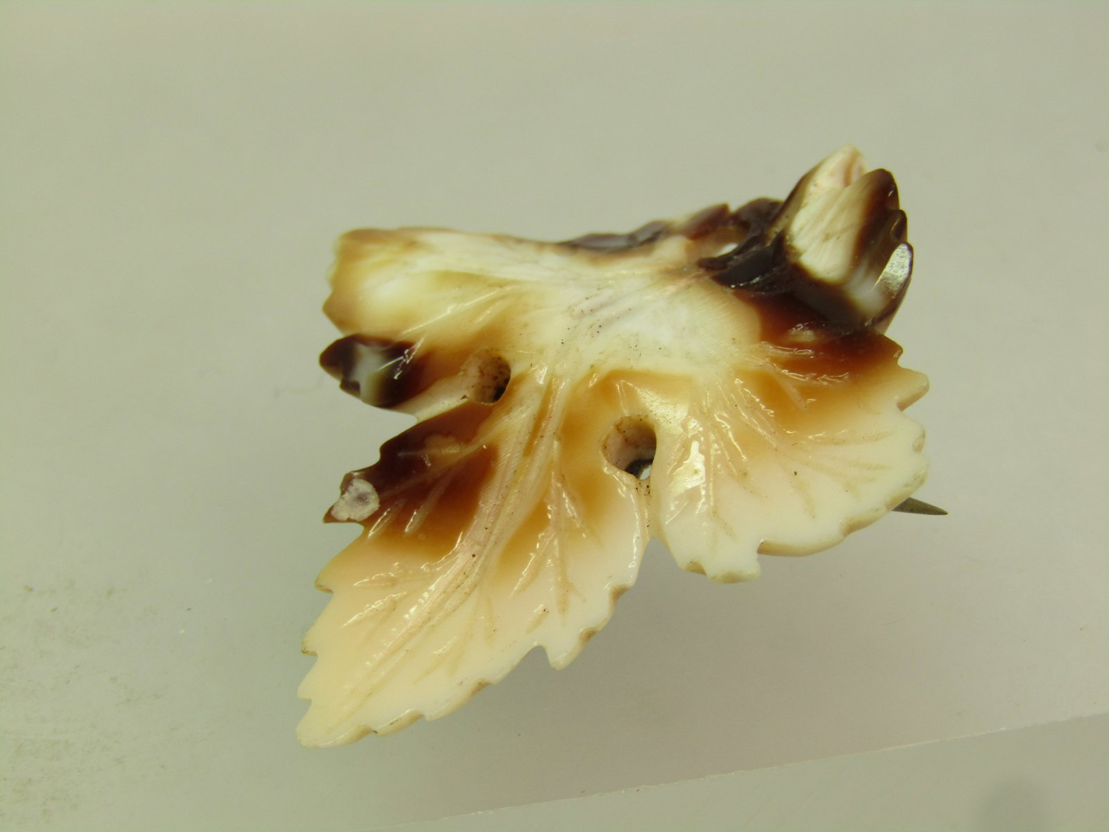 Vintage Brown/White Carved Leaf Brooch, C-Clasp, early 1900's - 4