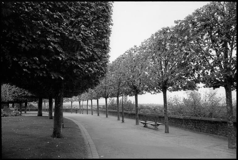 Treeline, Fougeres, France - Silver Gelatin Photograph: Title: Treeline, Fougeres, France - Silver Gelatin Photograph Dimensions: 20 x 16 in Medium: Treeline, Fougeres, France - Silver Gelatin Photograph - Limited Edition of 10 Paul Cooklin United Kingdom 