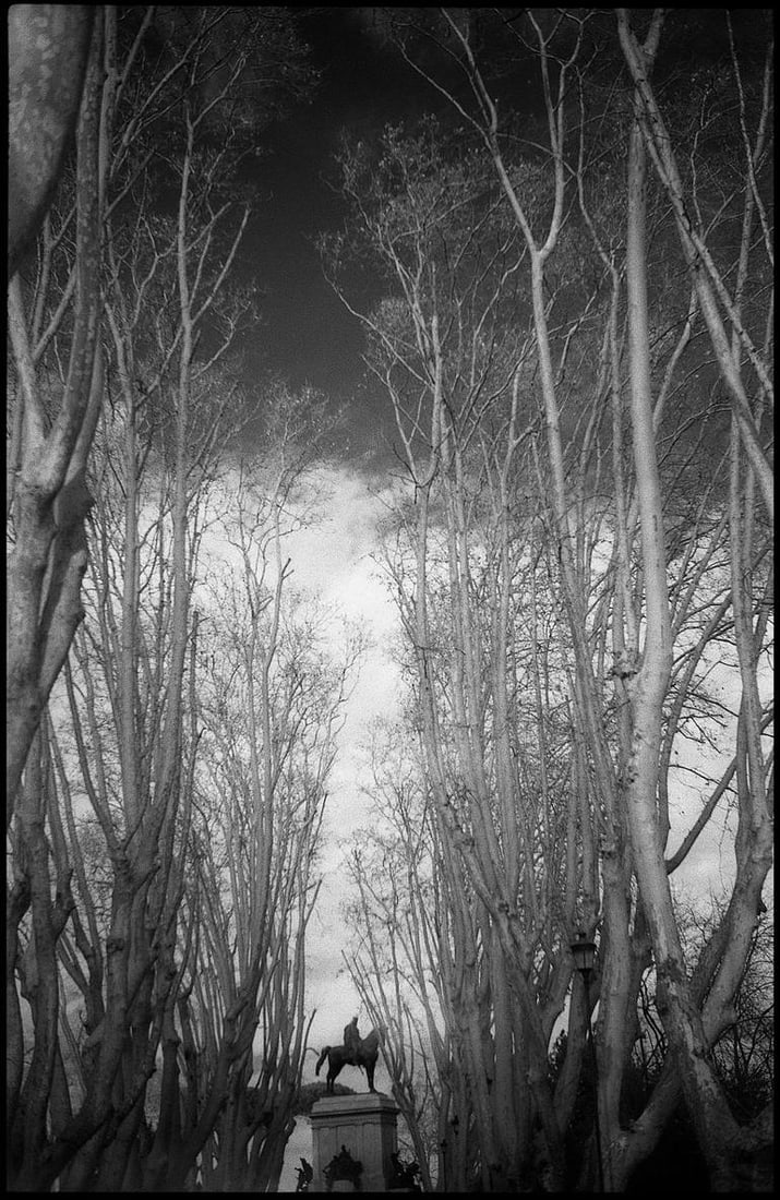 Garibaldi Monument, Janiculum Hill, Rome, Italy - Silver Gelatin Photograph: Title: Garibaldi Monument, Janiculum Hill, Rome, Italy - Silver Gelatin Photograph Dimensions: 16 x 20 in Medium: Garibaldi Monument, Janiculum Hill, Rome, Italy - Silver Gelatin Photograph - Limited 