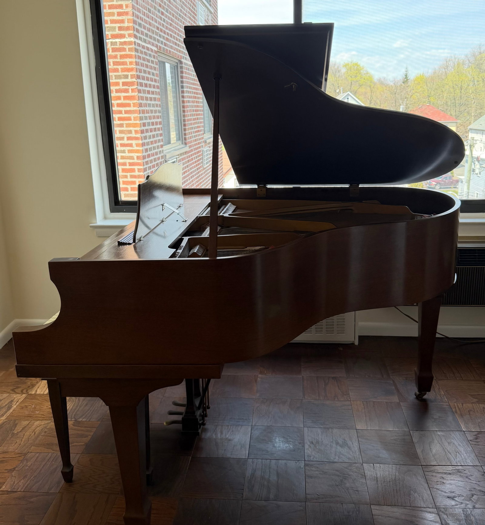 Kranich & Bach Baby Grand Piano with Bench - 5