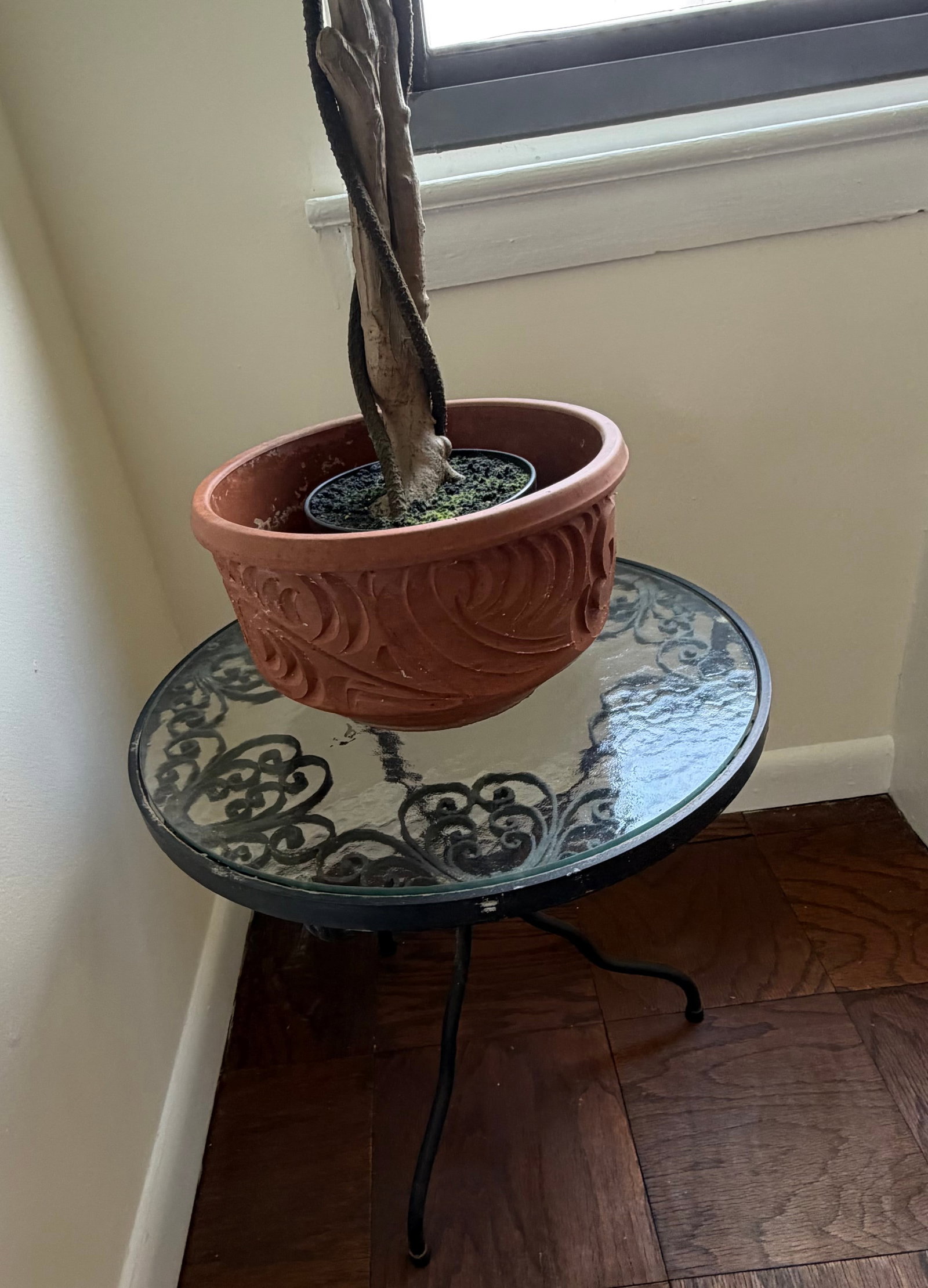Artificial Ficus Tree in Decorative Pot on Wrought Iron Table - 5