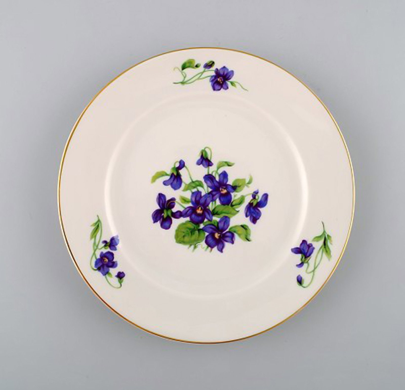 Hand painted Rosenthal porcelain coffee service. Complete for 10 people with accompanying plates. - 4