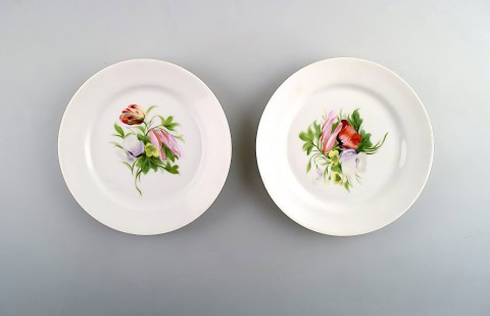 7 Antique B&G Bing & Grondahl plates decorated with flowers. Hand painted. - 3