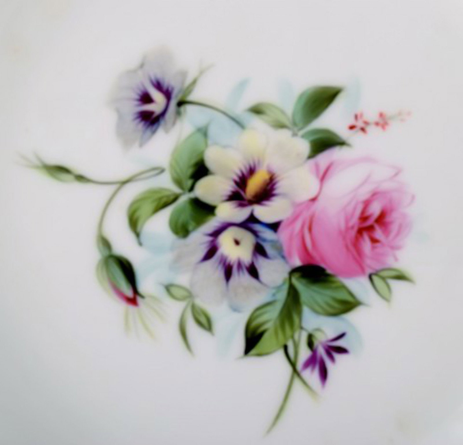 7 antique b&g bing & grøndahl deep plates. Hand painted with flowers. - 5