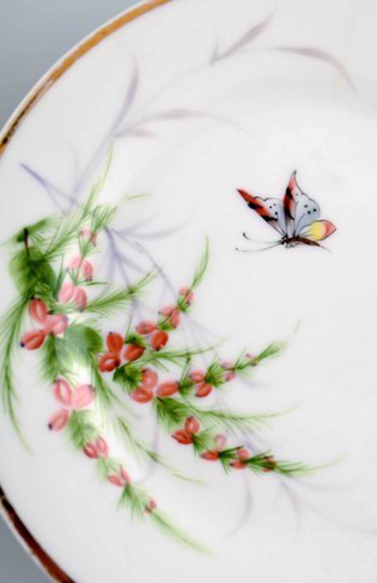 2 antique b & g bing & grøndahl plates. Hand painted with butterfly and insect. - 2