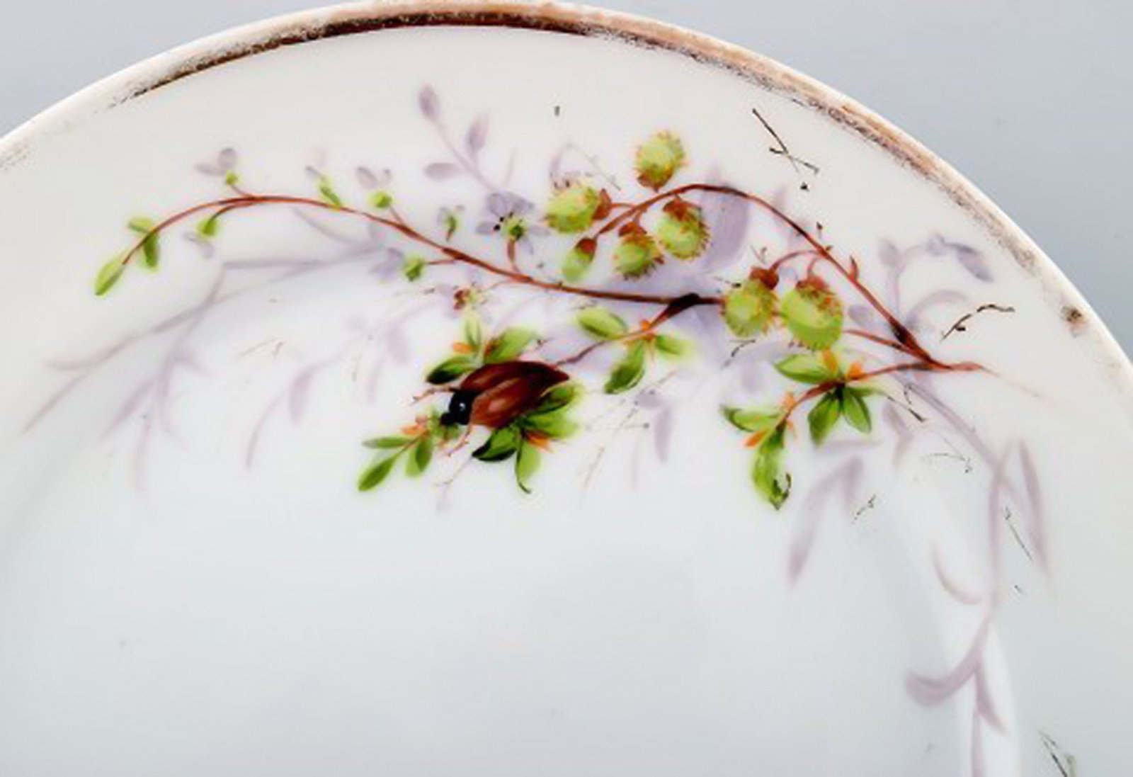 2 antique b & g bing & grøndahl plates. Hand painted with butterfly and insect. - 3