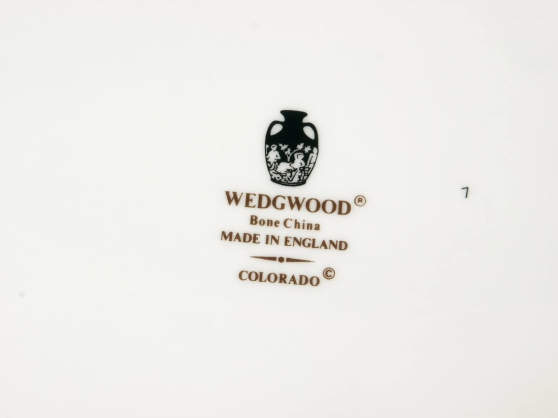 Wedgwood COLORADO Vintage Meat Serving Platter England PERFECT - 4