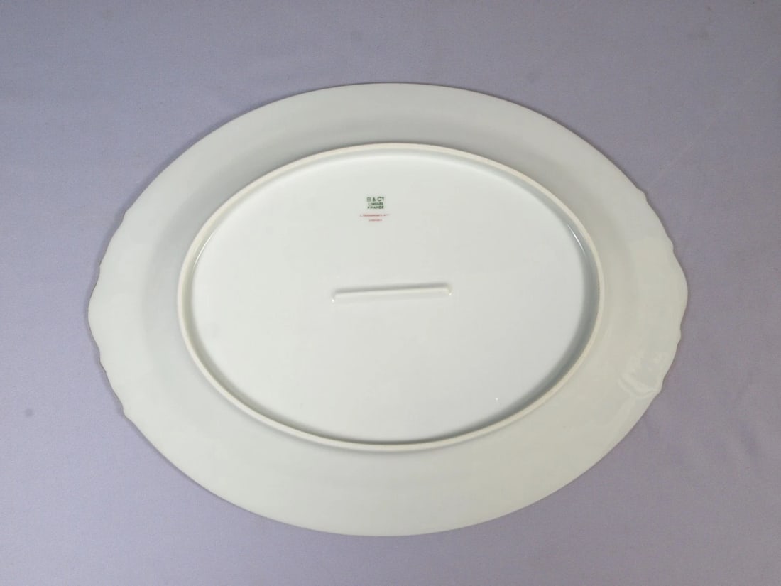 Limoges L. BERNARDAUD B&C Oval Serving Meat Turkey Platter France - 3