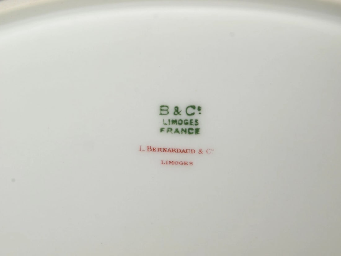 Limoges L. BERNARDAUD B&C Oval Serving Meat Turkey Platter France - 4