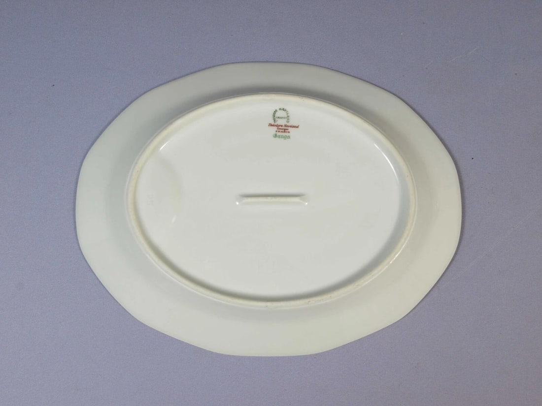 Limoges France GANGA HAVILAND Small Oval Platter Antique - 4