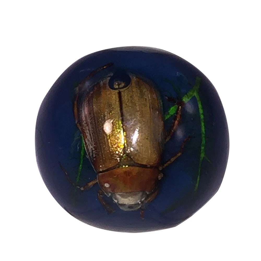 Scarab Blue Bug Plastic Ring (1 of 6)