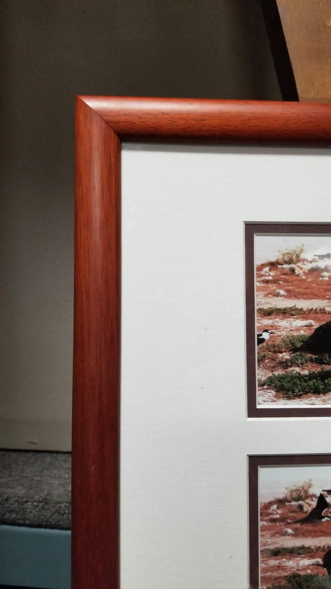 Framed Hawaiian Nature Photography Print Meaai by Photographer Michael Lemes - 4