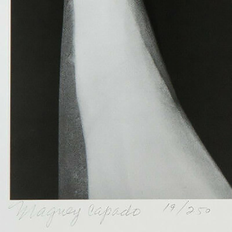 Mariana Yampolsky "Maguey Capado" Lithographic Photo Print Limited 1/250 Signed - 2