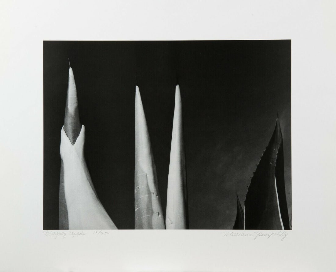 Mariana Yampolsky "Maguey Capado" Lithographic Photo Print Limited 1/250 Signed - 5