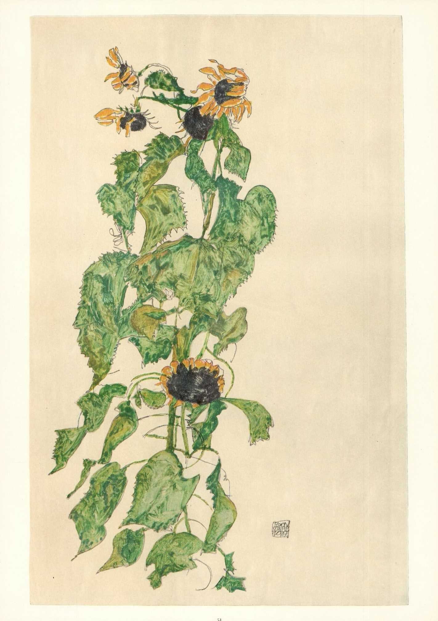 Egon Schiele Lithograph 51 Sunflower 1968: Title: Egon Schiele Lithograph 51 Sunflower 1968 Description: Artist:Egon Schiele Country:Austria Title:Sunflower Medium:Lithograph - 51 Marks:Signed in plate Printed:1968 by Max Jaffe, Vienna Austria