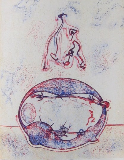 Max Ernst Original Lithograph Apres Moi XXe Siecle 1971*: Title: Max Ernst Original Lithograph Apres Moi XXe Siecle 1971* Description: Artist: Max Ernst Country: Germany /USA / France Title: Apres Moi Medium: Original Lithograph Marks: Not signed or numbered