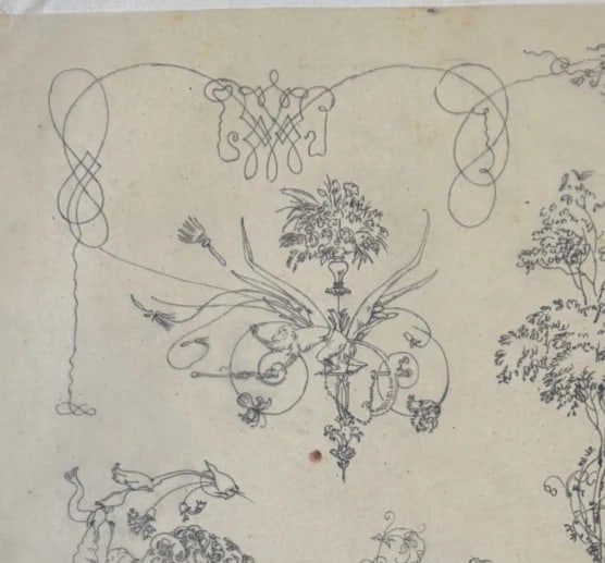 Vintage Drawing Original Floral, Flowers, Still Life 19th century - 4