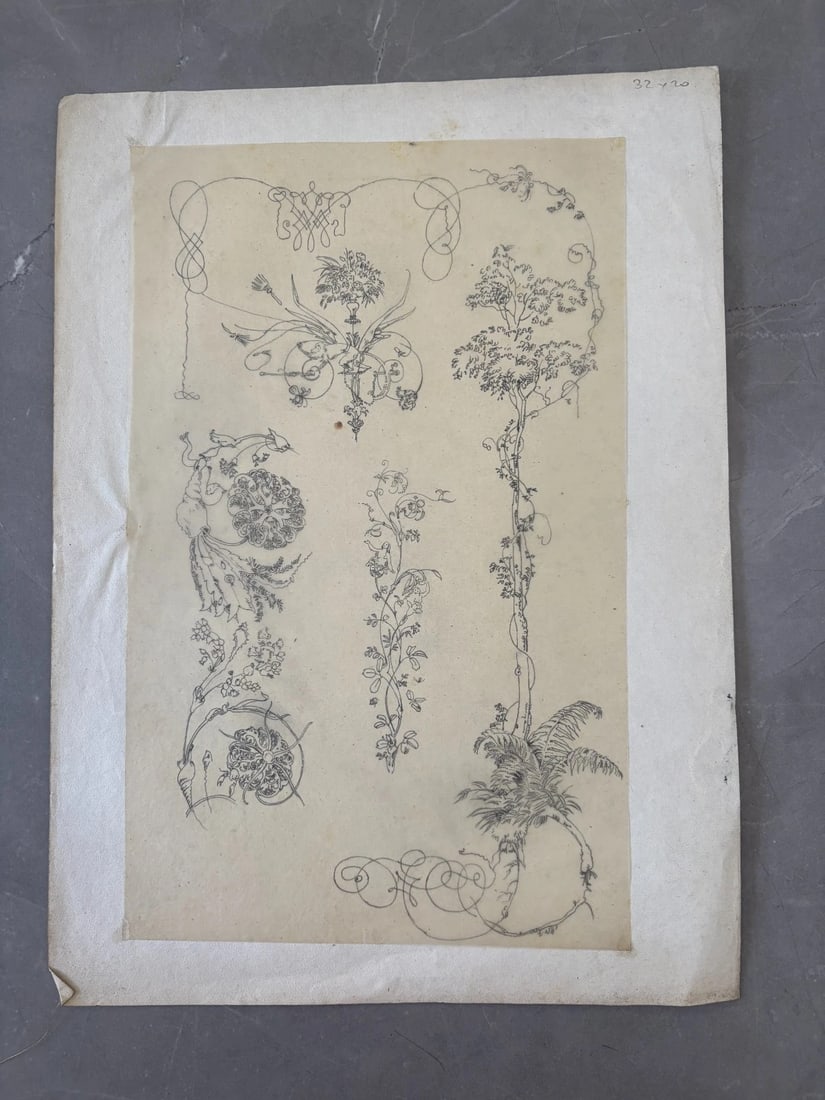 Vintage Drawing Original Floral, Flowers, Still Life 19th century - 8