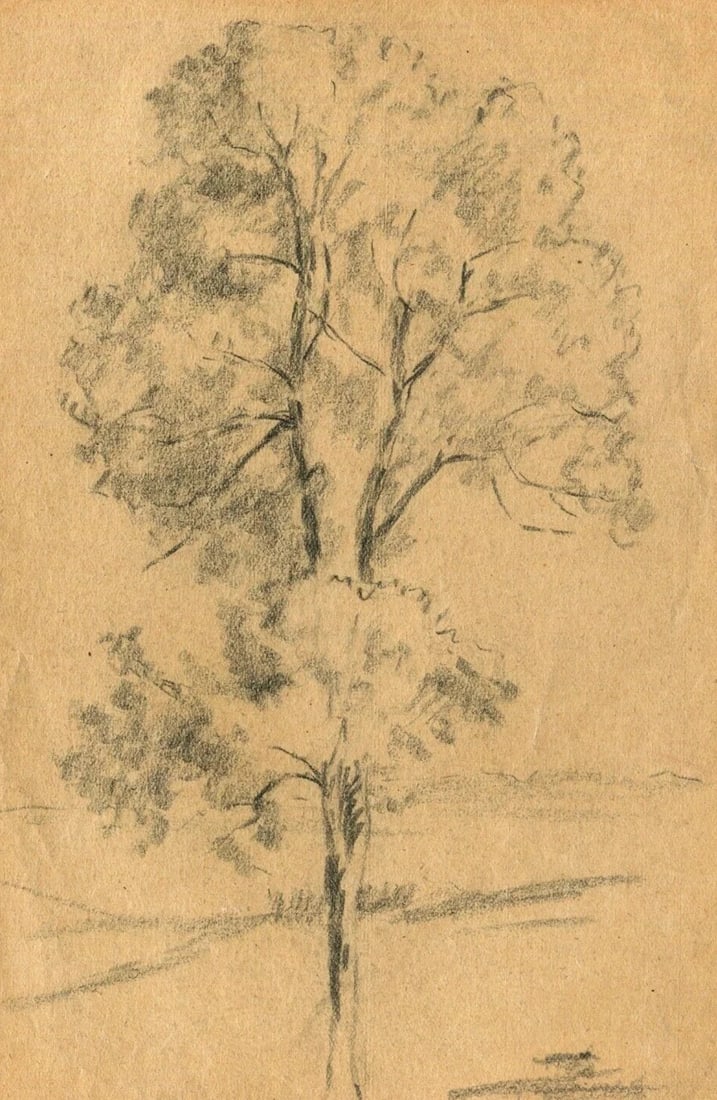 Vintage Pencil Original Drawing Tree circa 1900 Artwork: Description Pencil on paper 20,5 x 13 cm folds, stains Reserve: $40.00 Shipping: Domestic: Flat-rate of $22.00 to anywhere within the contiguous U.S. International: Foreign shipping rates are