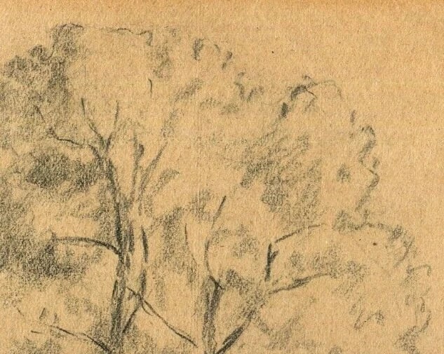 Vintage Pencil Original Drawing Tree circa 1900 Artwork - 5