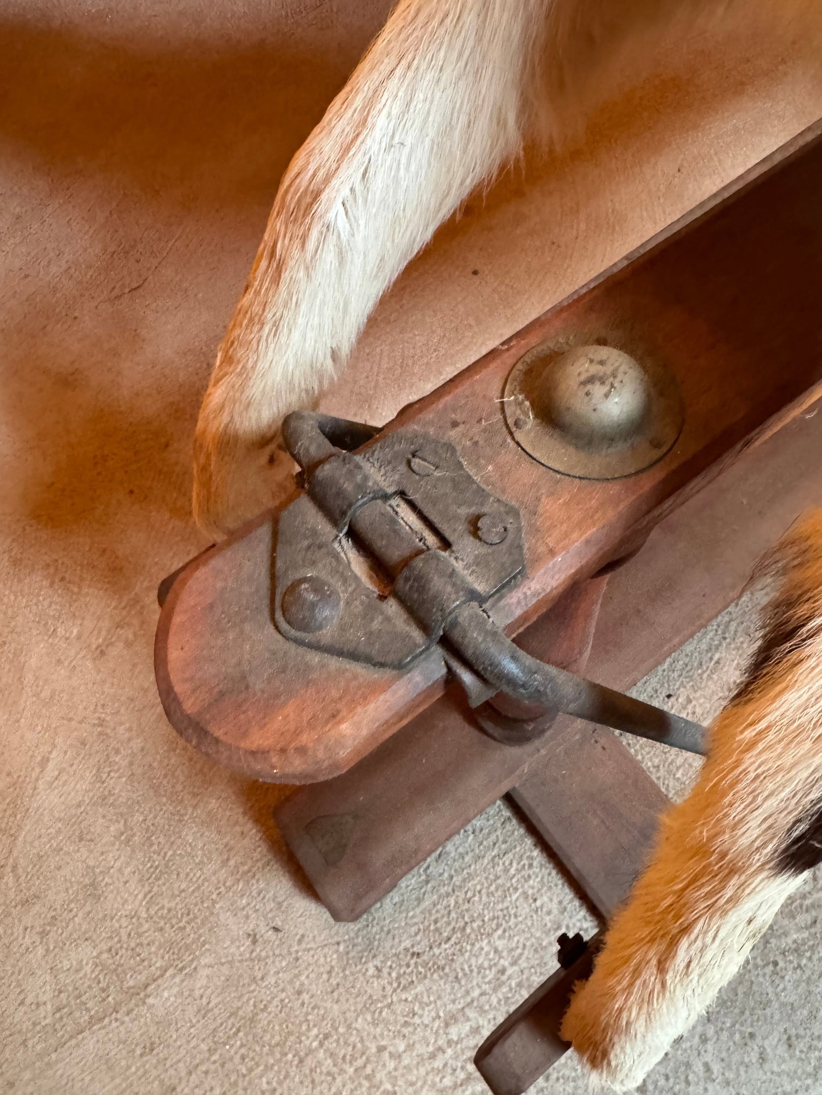 Vintage Hair on Hide Rocking Horse - 3