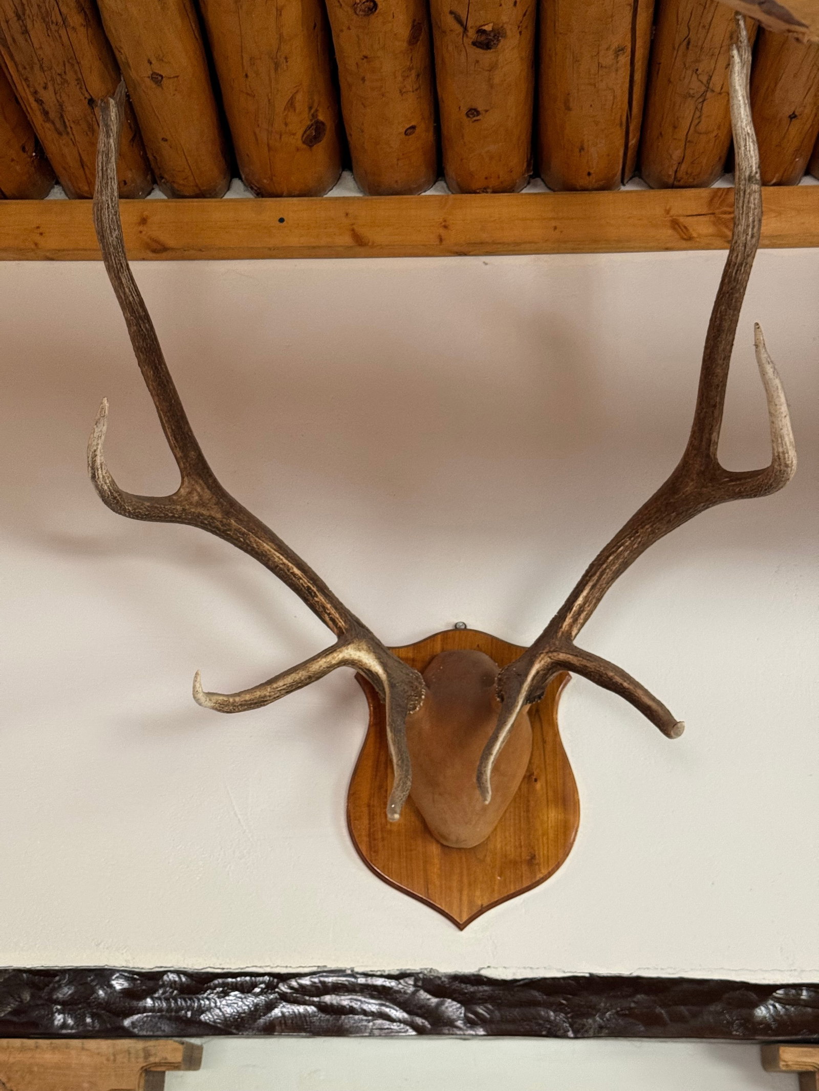 10 Point Elk Antler Mount - 2