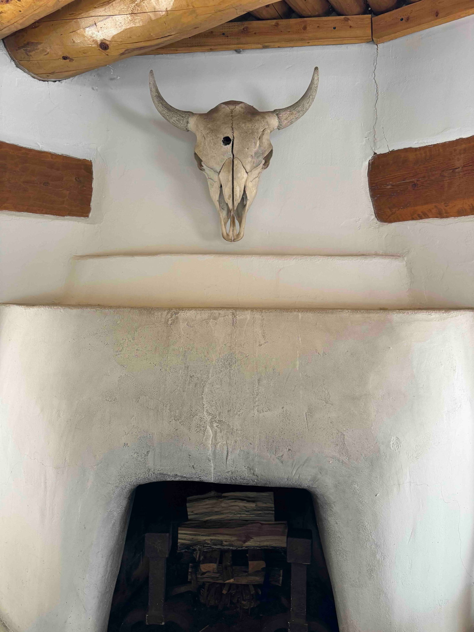 Pair of Southwestern Bovine Skull with Horns - 2