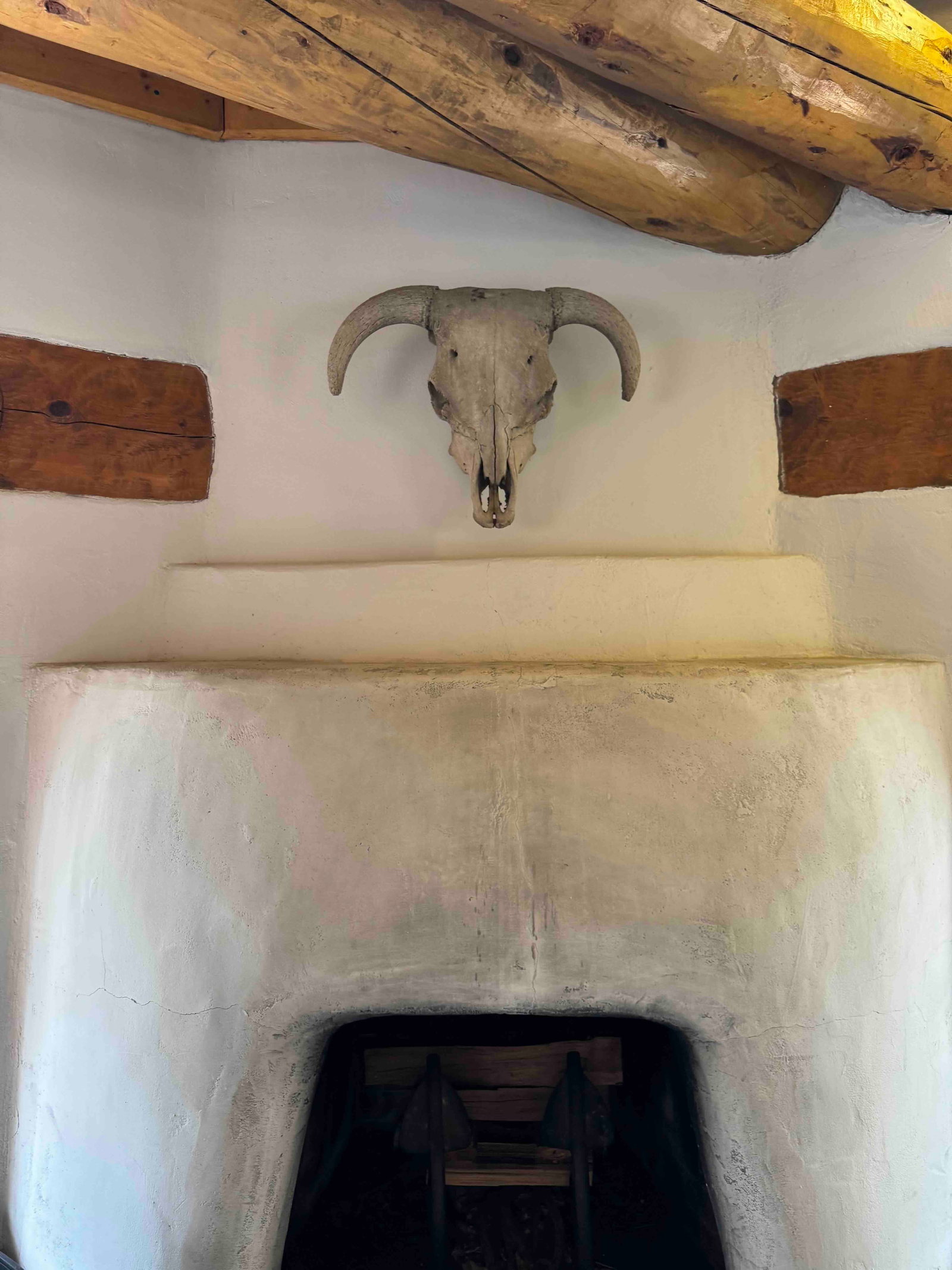 Pair of Southwestern Bovine Skull with Horns - 3