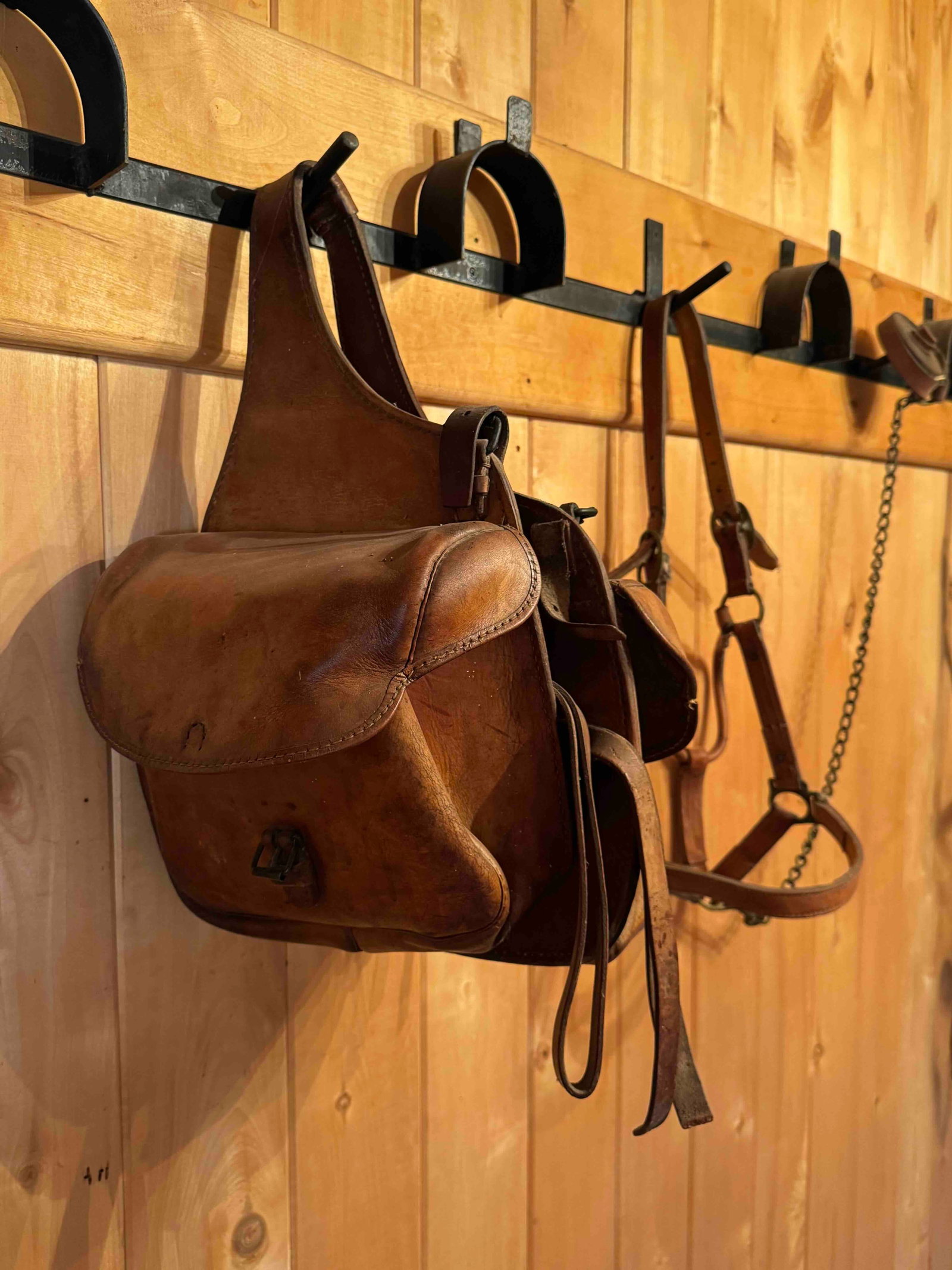 Collection of Antique Equestrian Tack, including Saddle Bags and Bridles - 3