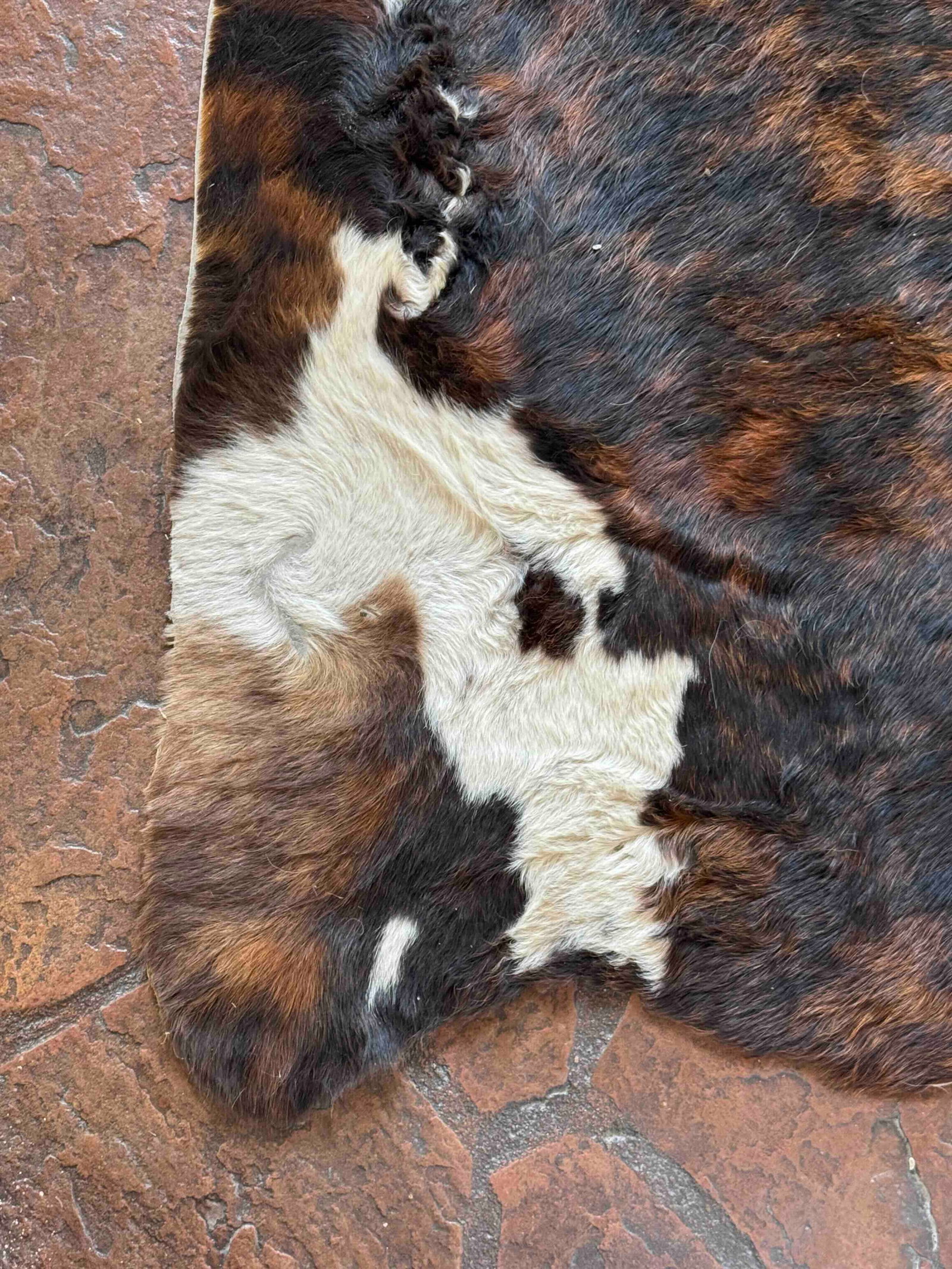 Brindle and White Cowhide Rug - 3