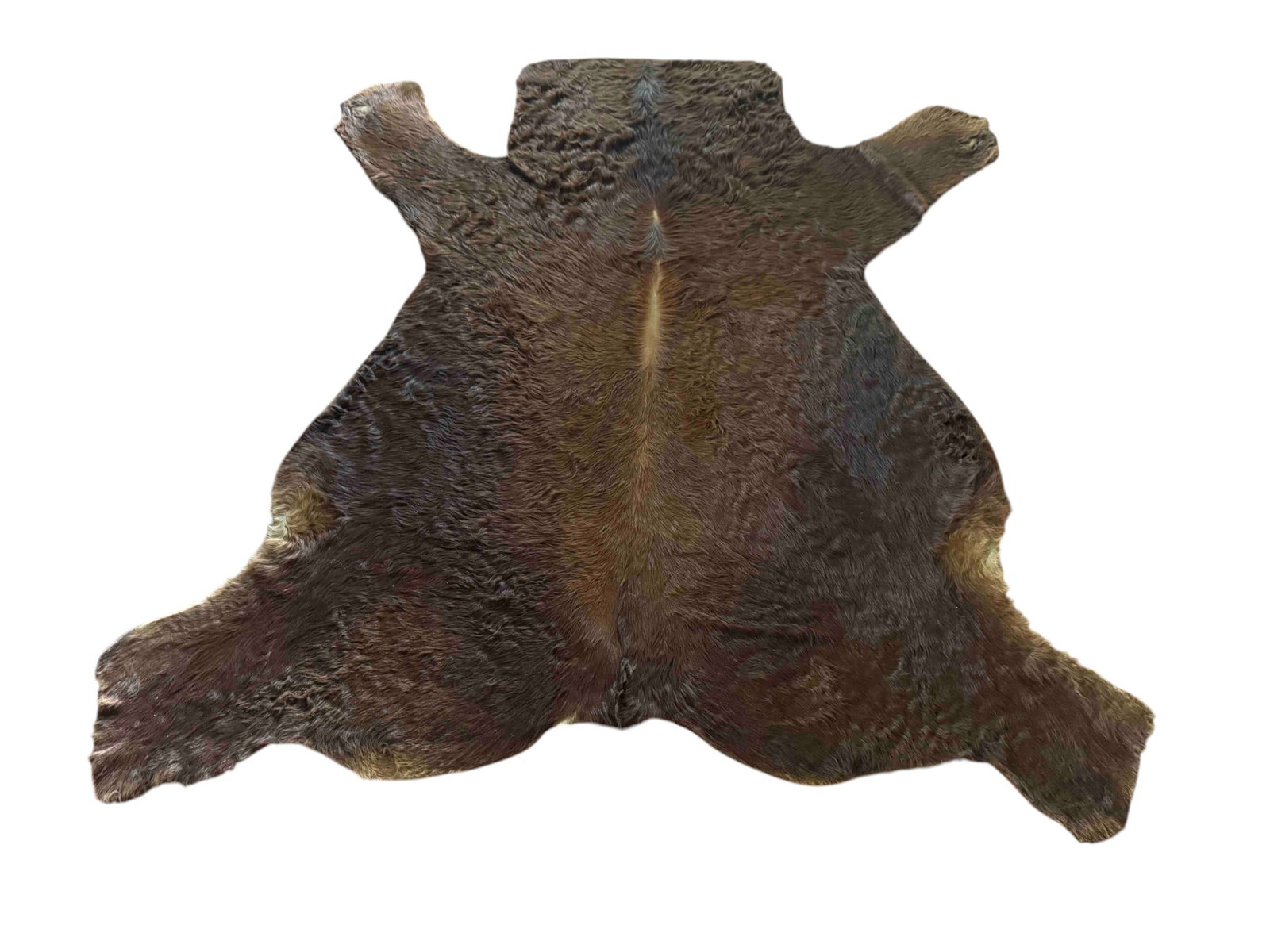 Vintage Brown Bear Hide Rug: A vintage brown bear hide rug, likely from the mid-20th century, featuring a rich, dark brown fur with varied texture. The hide is cut in a classic bear rug shape, preserving the natural contours of t